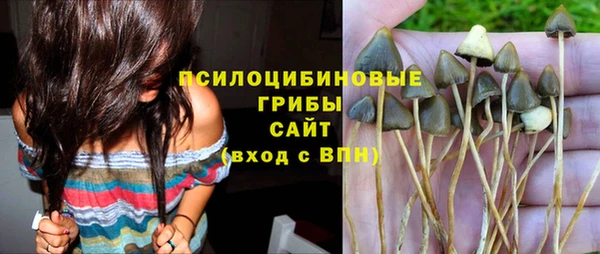 ALPHA PVP Верея